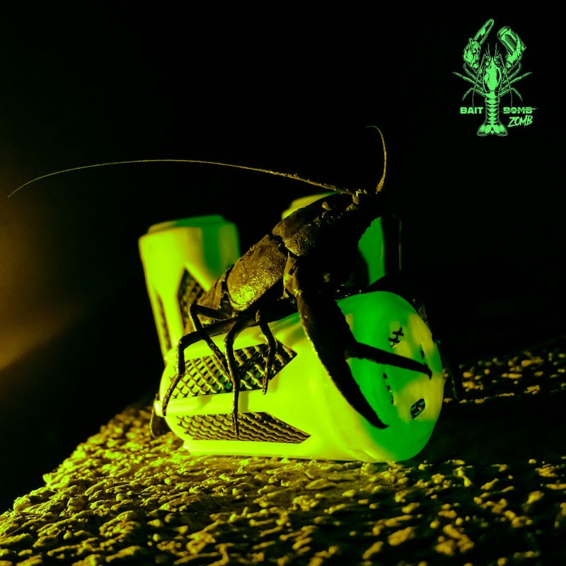 Glow in the dark Zombie Bomb