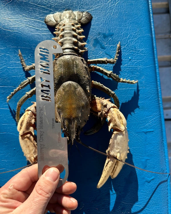 Murray Cray Measurer OG