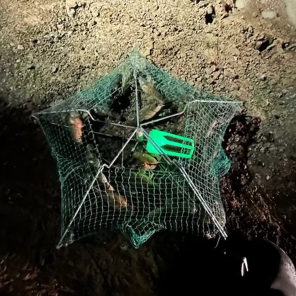 Glow in the dark Zombie Bomb