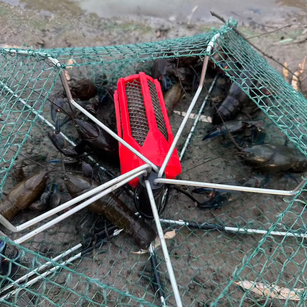 Yabbie Net Combo
